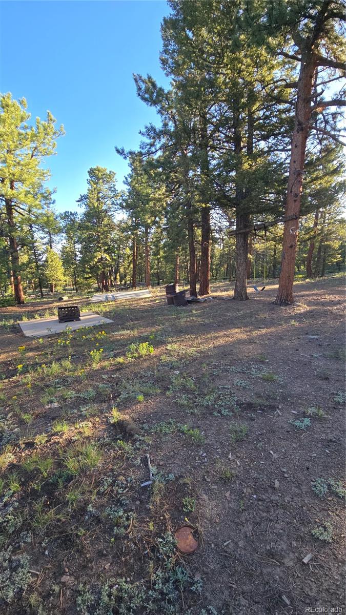 Chubb Court Buena Vista CO 81211