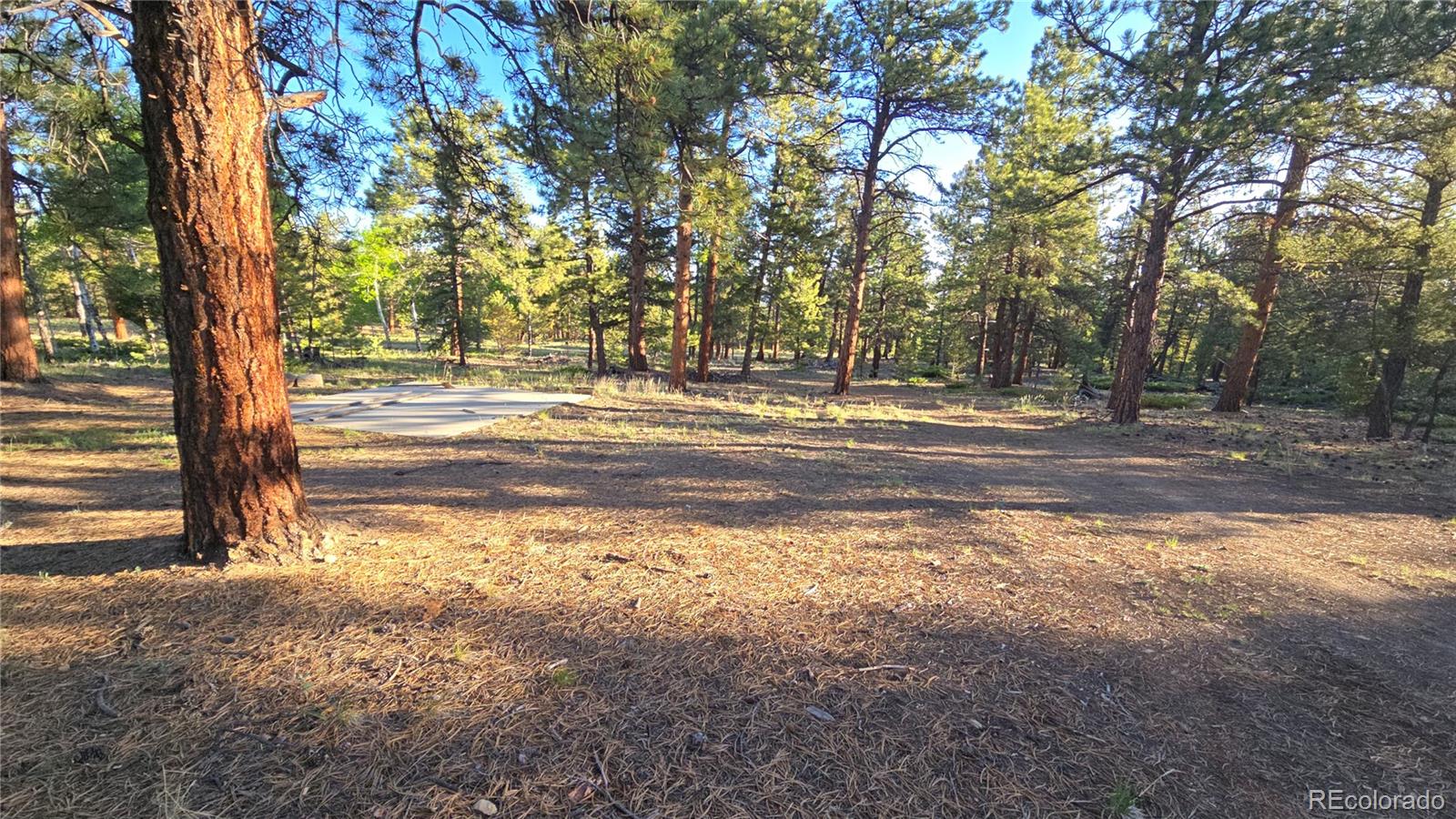 Chubb Court Buena Vista CO 81211