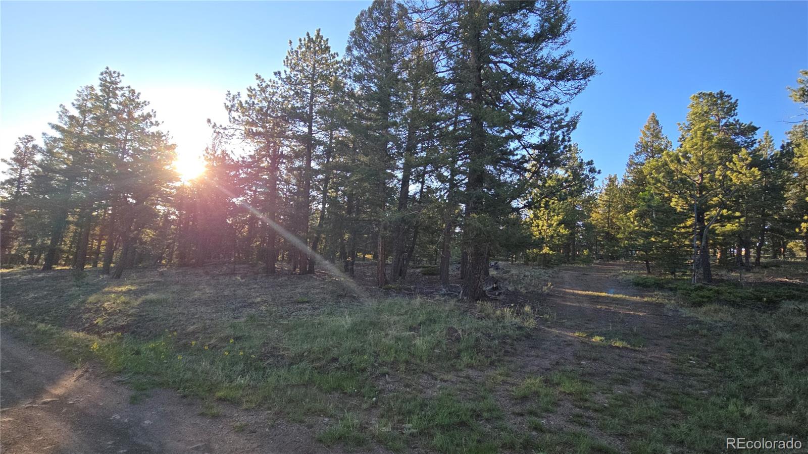 Chubb Court Buena Vista CO 81211