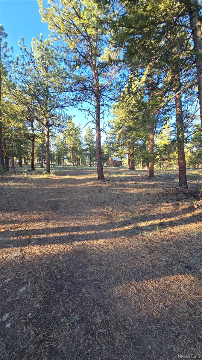 Chubb Court Buena Vista CO 81211