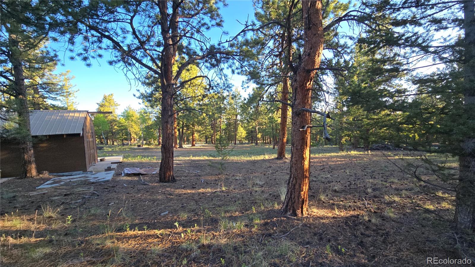 Chubb Court Buena Vista CO 81211