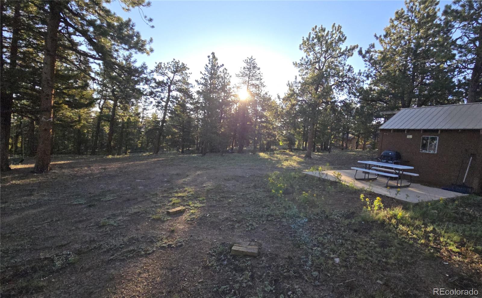 Chubb Court Buena Vista CO 81211