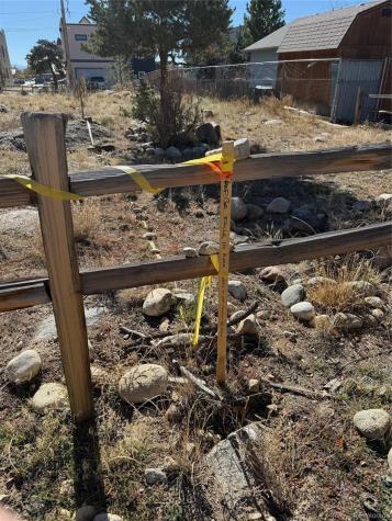 517 E Arkansas Street Buena Vista CO 81211