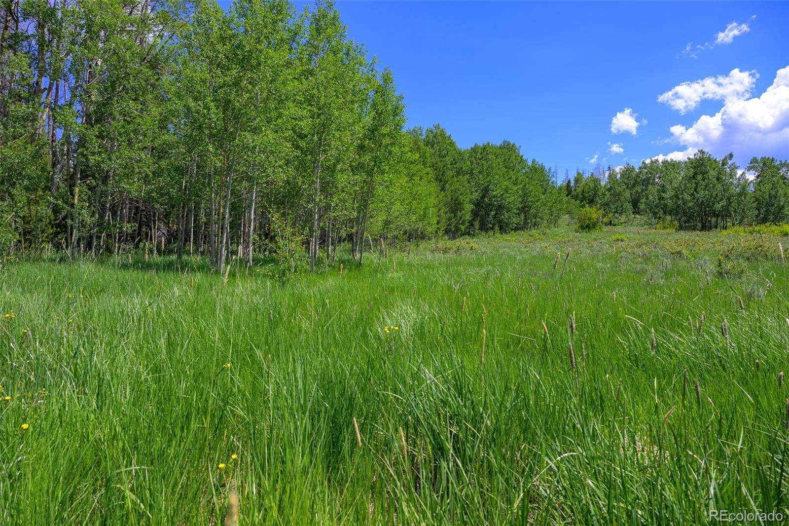2140 Val Moritz Drive Granby CO 80446
