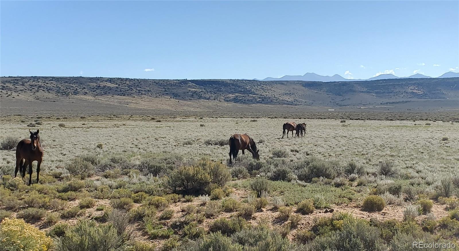 Tbd 154 Ac Vacant Land San Luis CO 81152