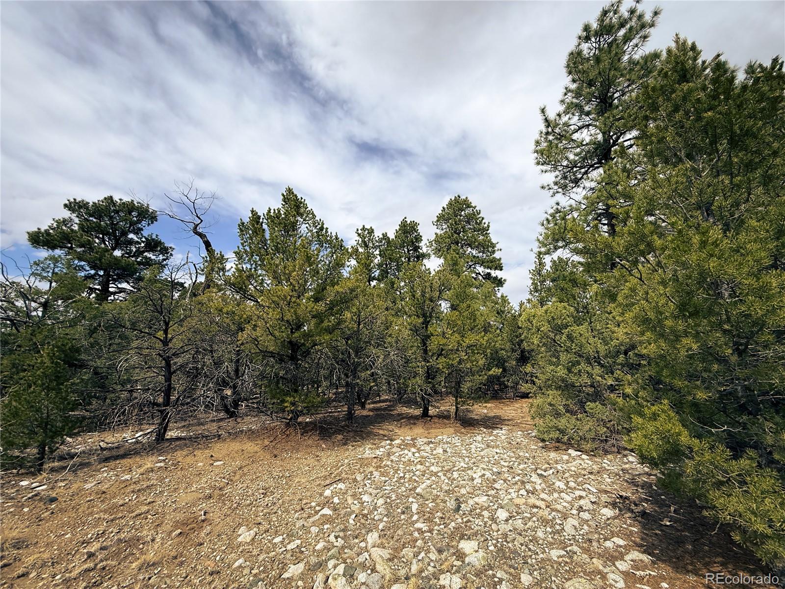 76 Mill Run Road Mosca CO 81146