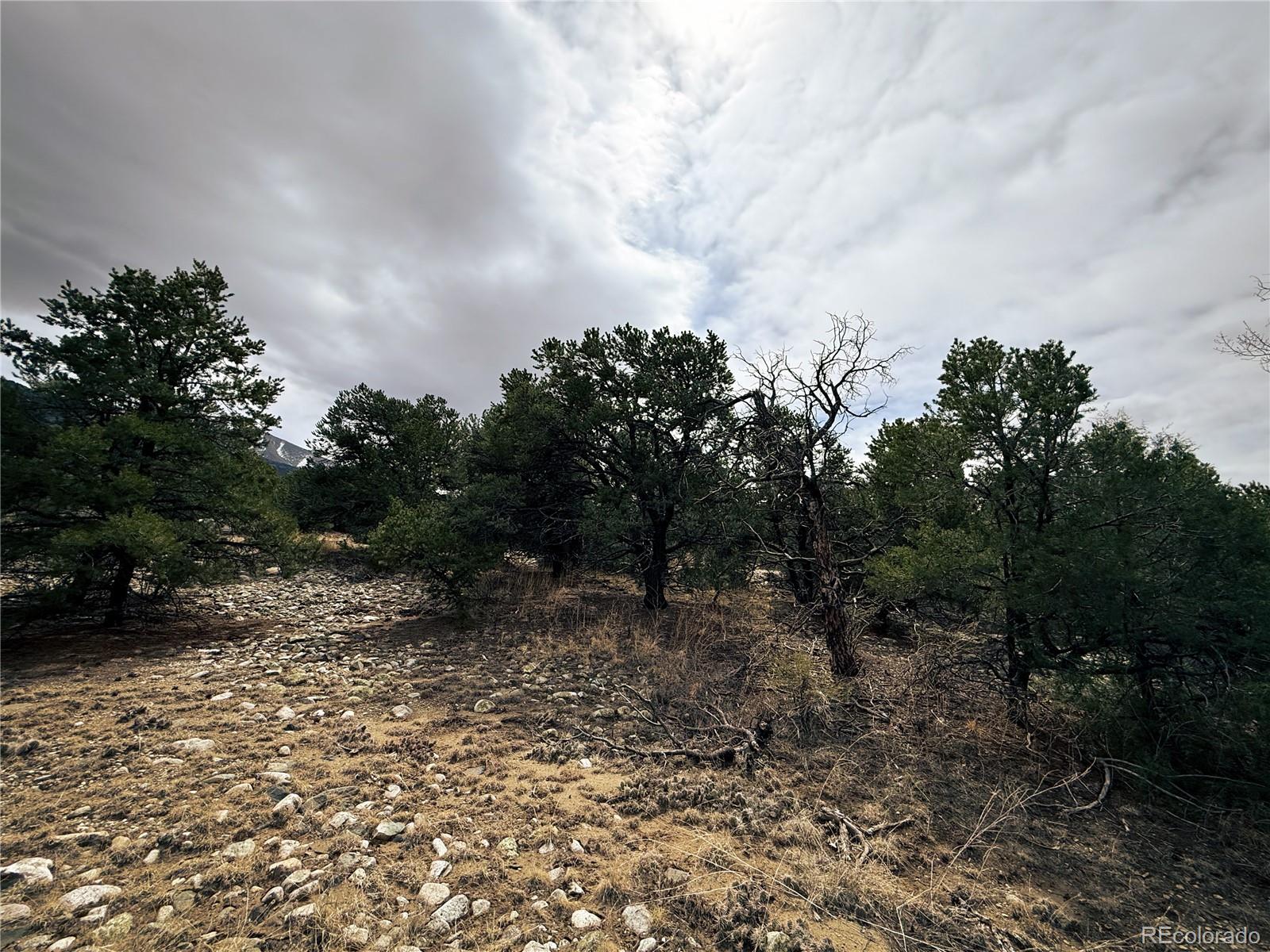 76 Mill Run Road Mosca CO 81146