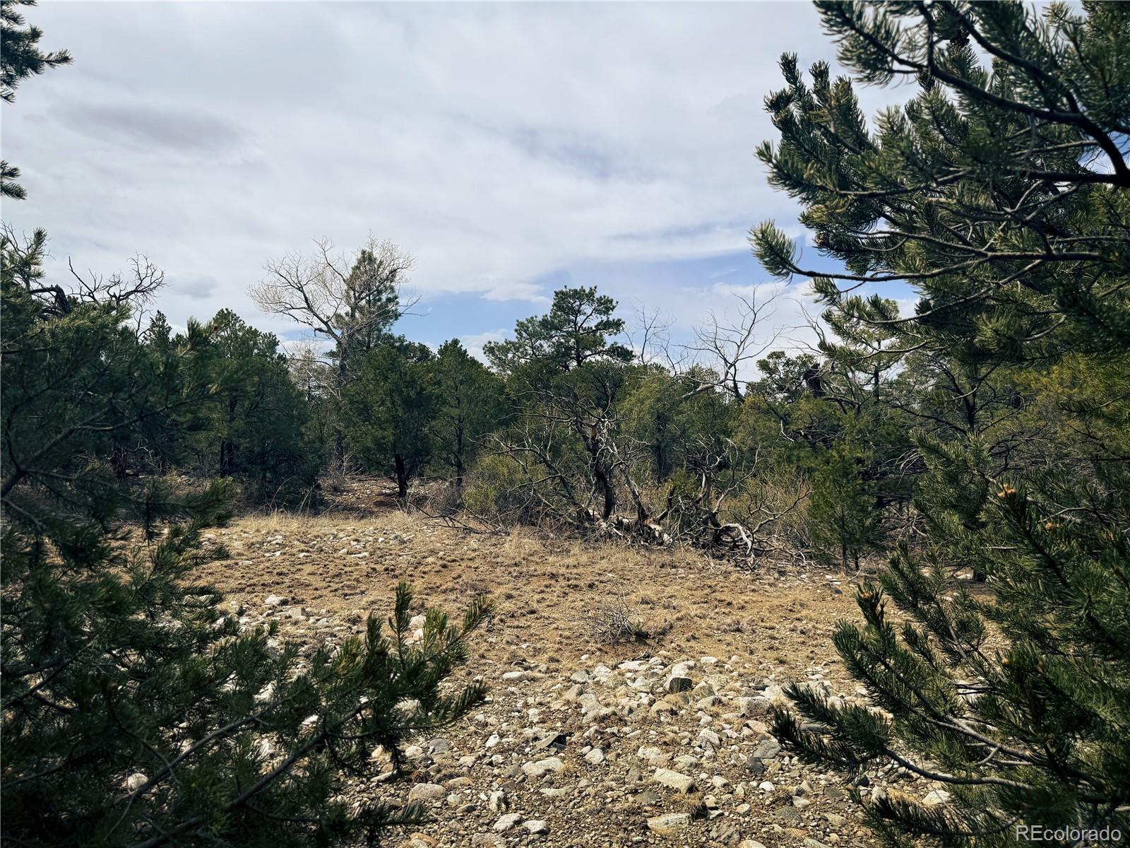 76 Mill Run Road Mosca CO 81146
