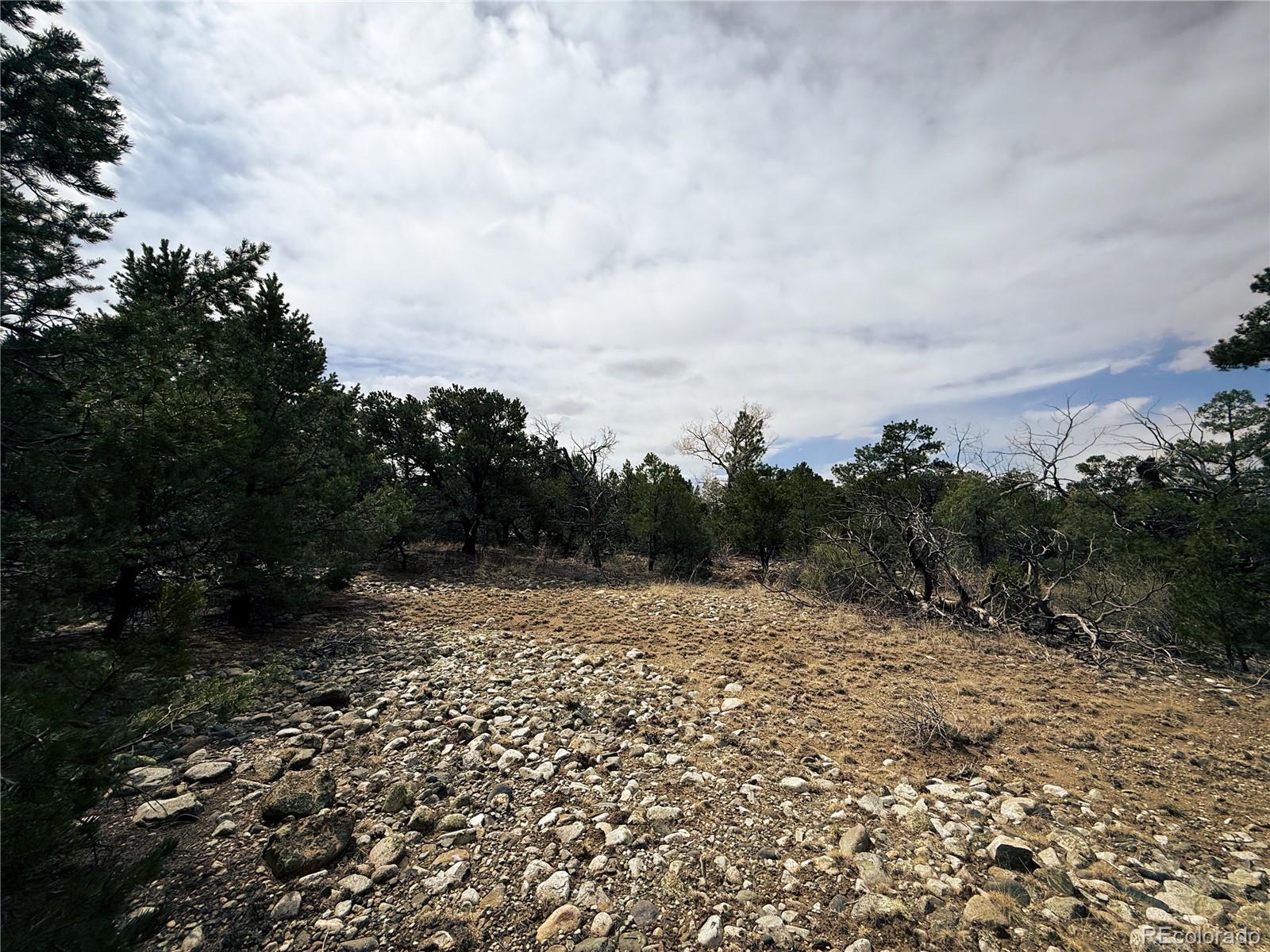 76 Mill Run Road Mosca CO 81146