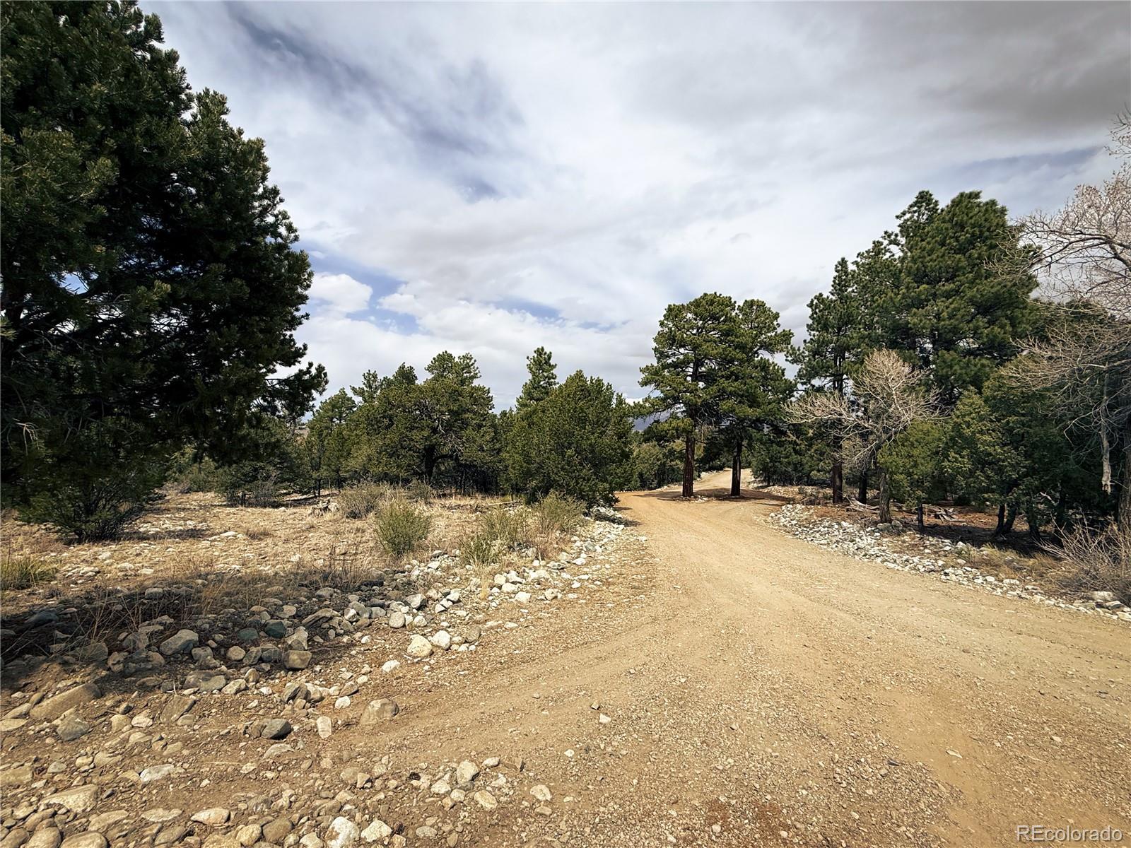 76 Mill Run Road Mosca CO 81146