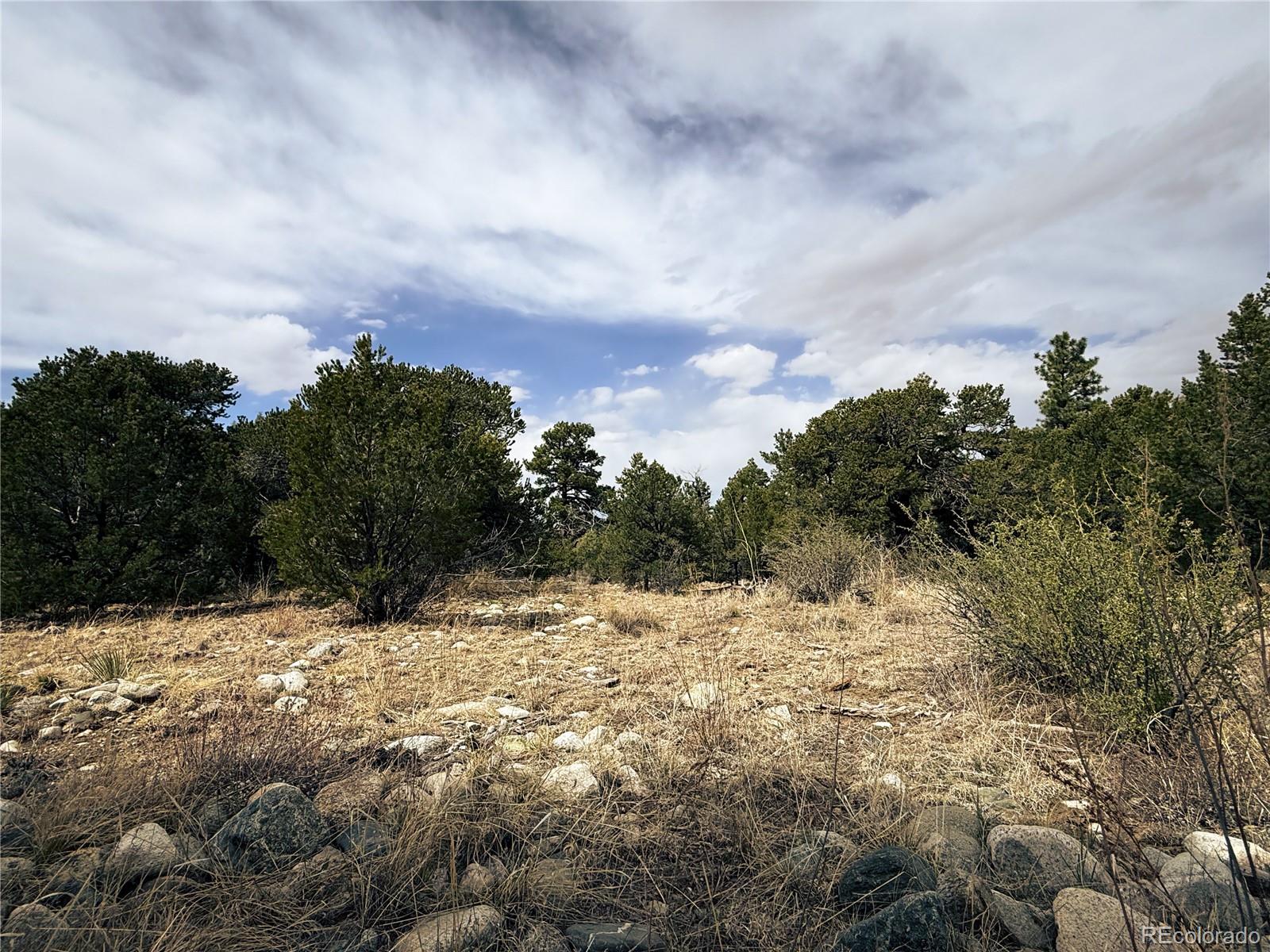 76 Mill Run Road Mosca CO 81146