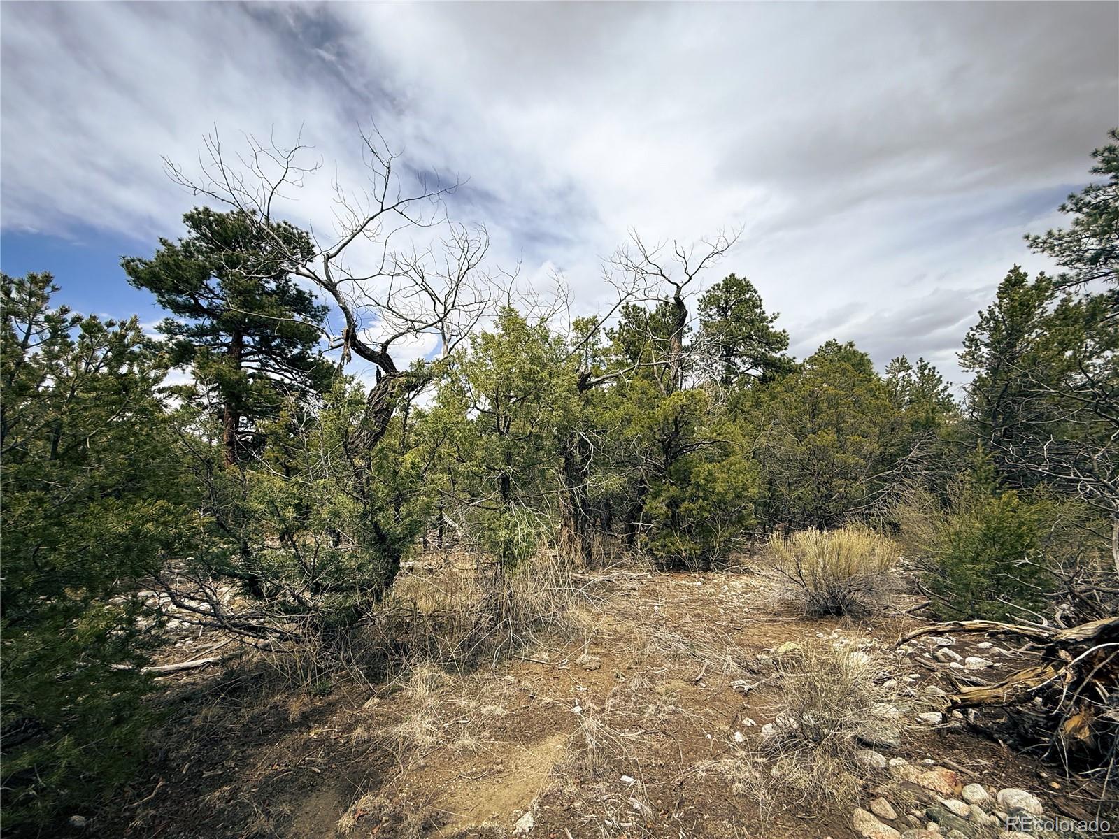 76 Mill Run Road Mosca CO 81146