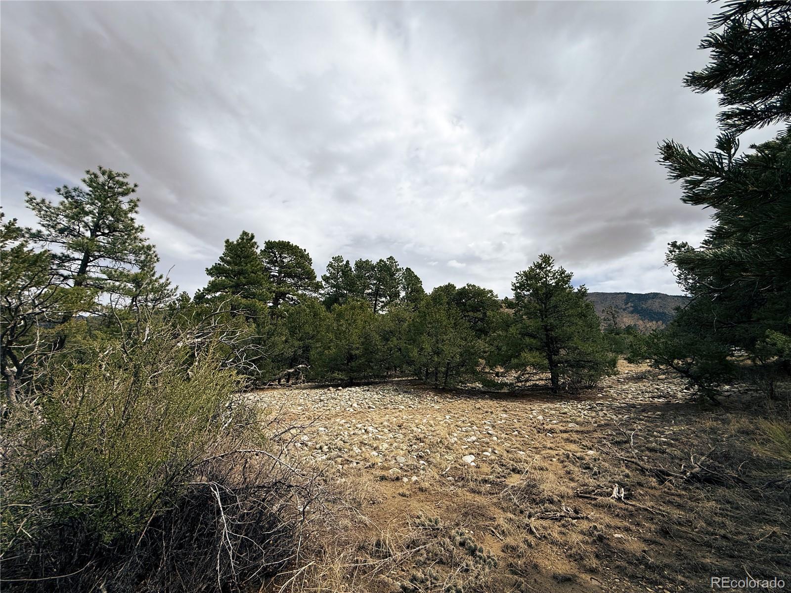 76 Mill Run Road Mosca CO 81146