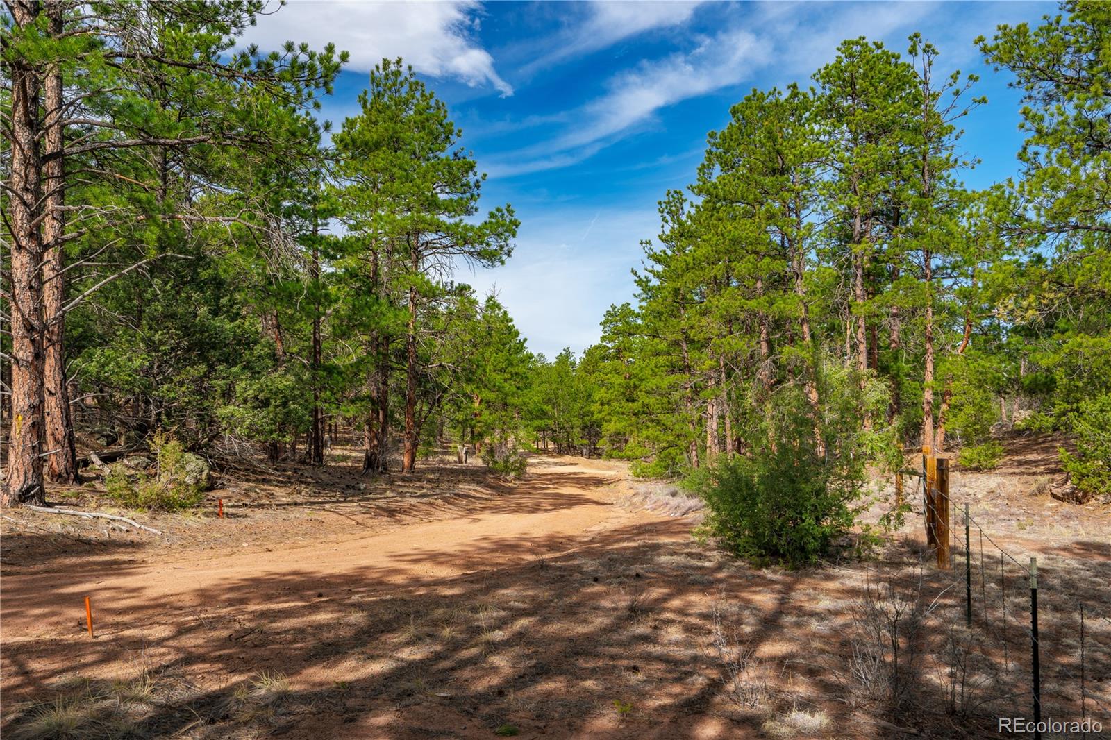 870 Oak Drive Westcliffe CO 81252