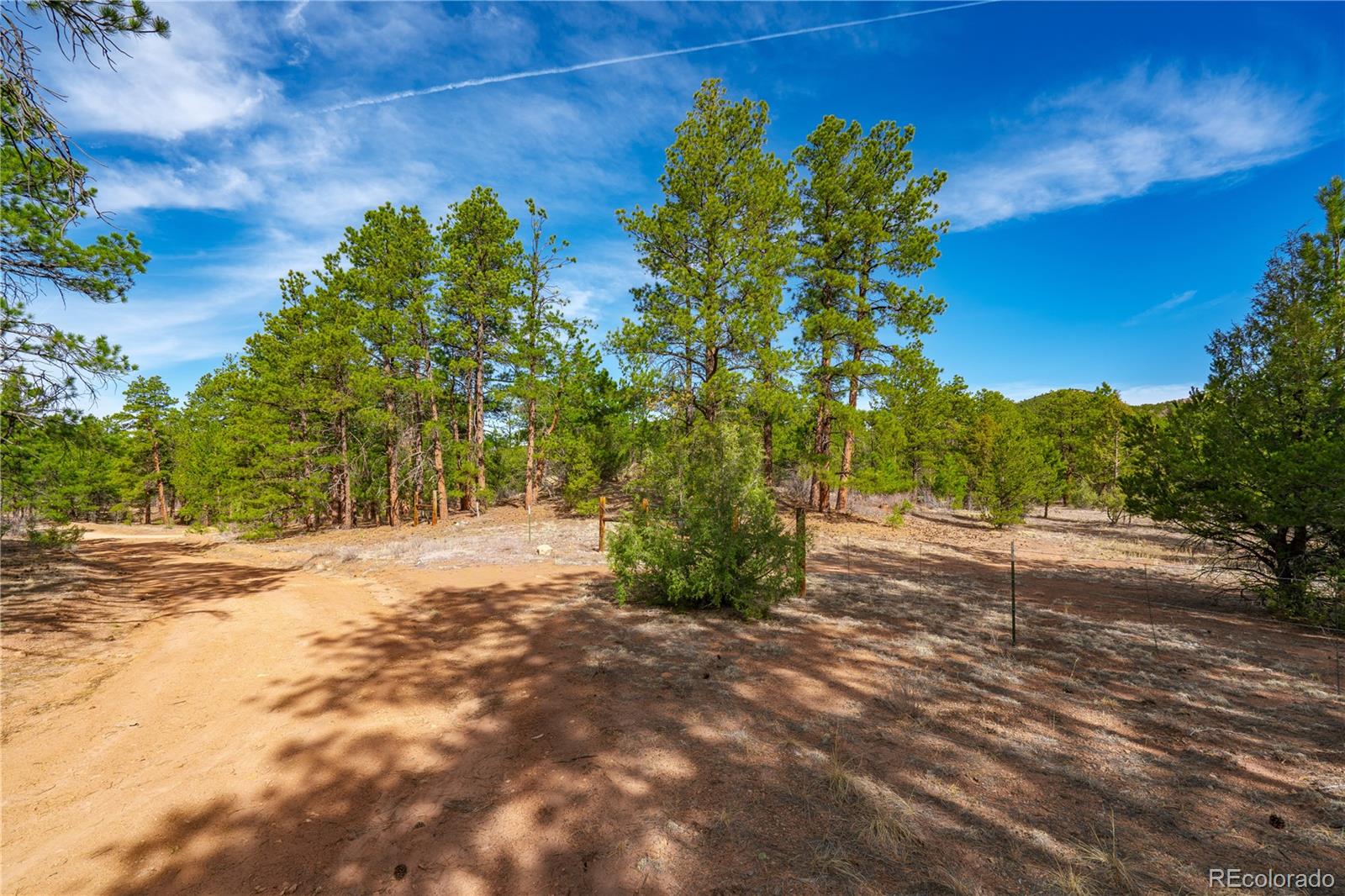 870 Oak Drive Westcliffe CO 81252