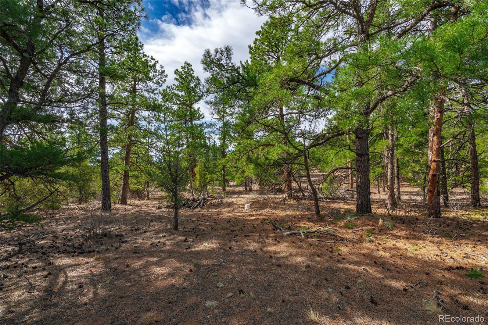 870 Oak Drive Westcliffe CO 81252