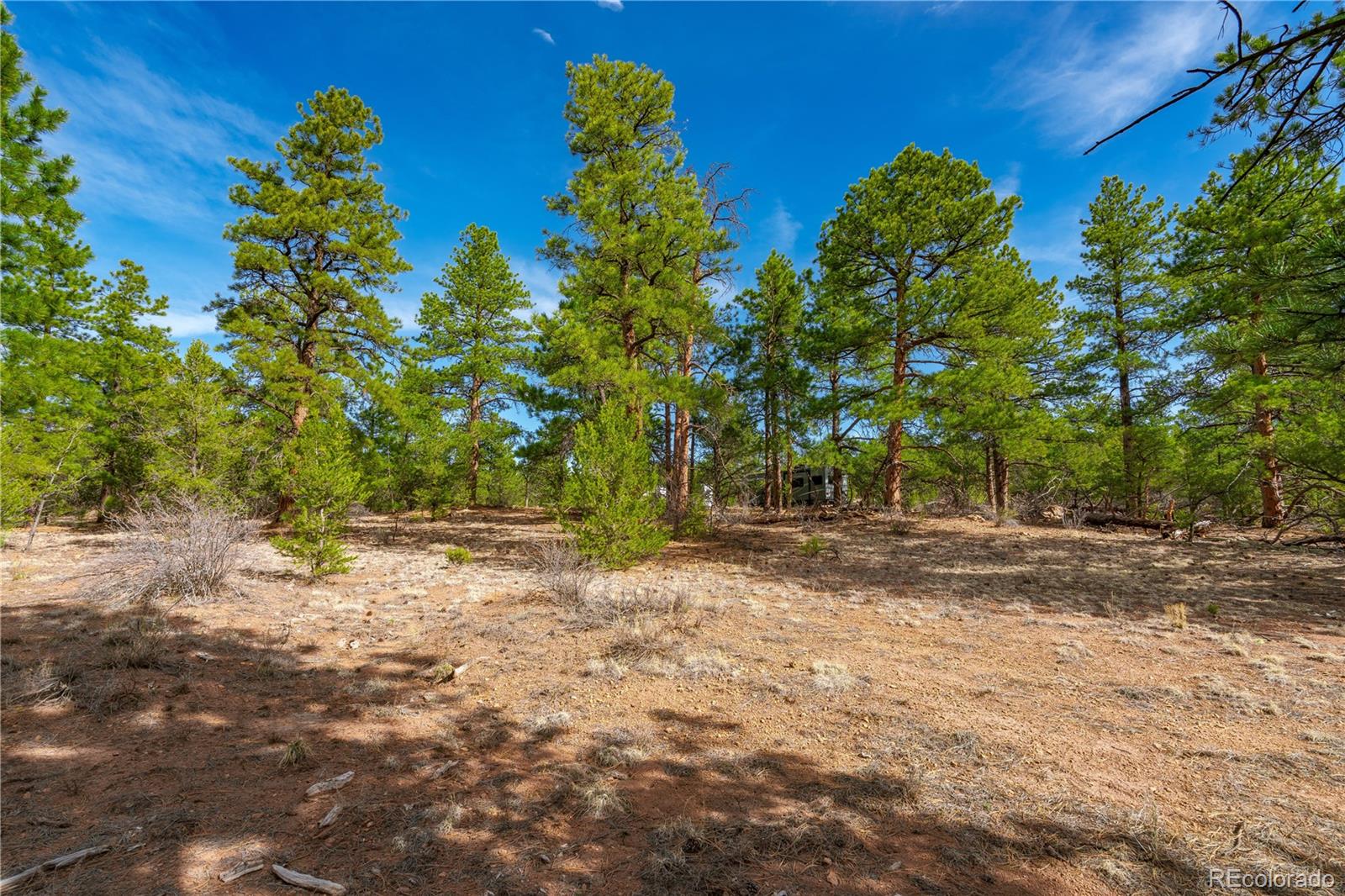 870 Oak Drive Westcliffe CO 81252