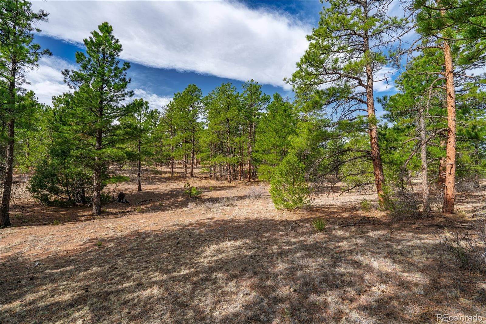 870 Oak Drive Westcliffe CO 81252