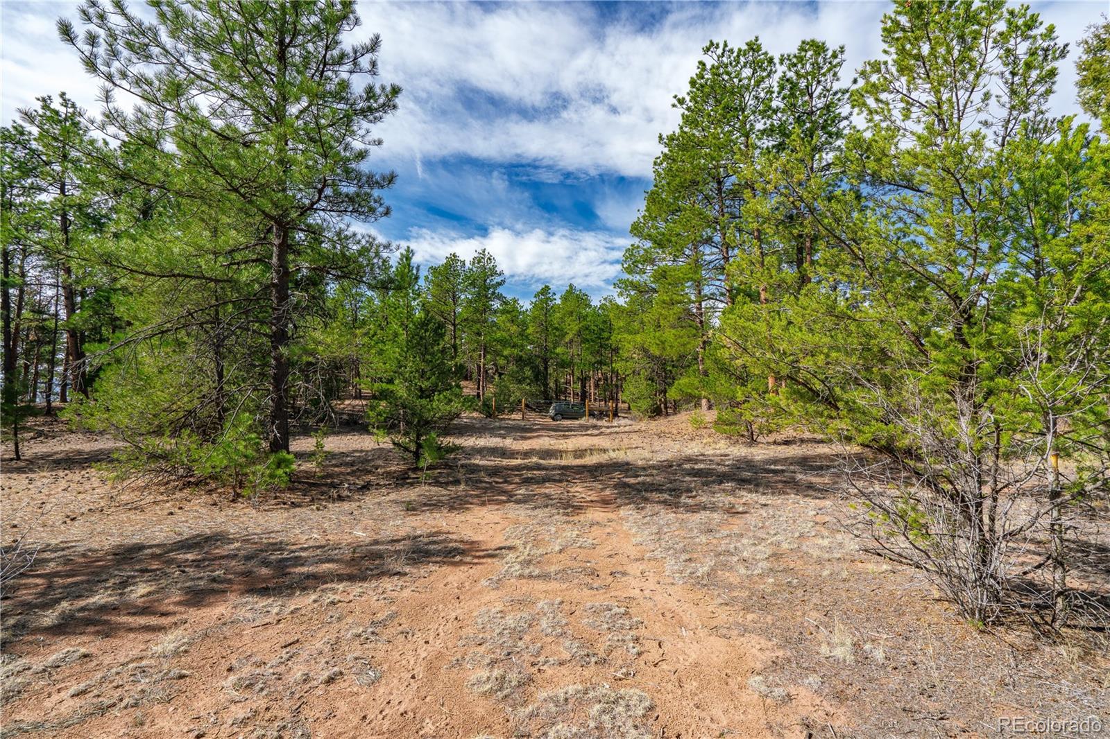 870 Oak Drive Westcliffe CO 81252