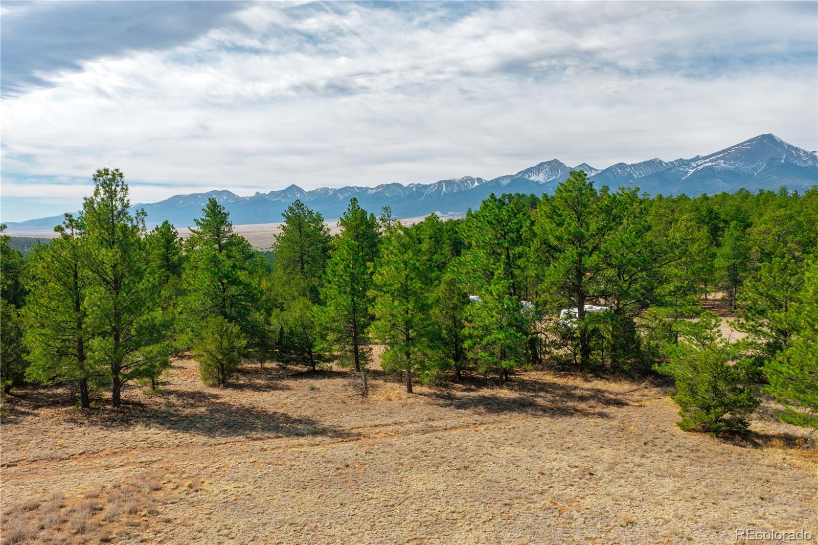 870 Oak Drive Westcliffe CO 81252