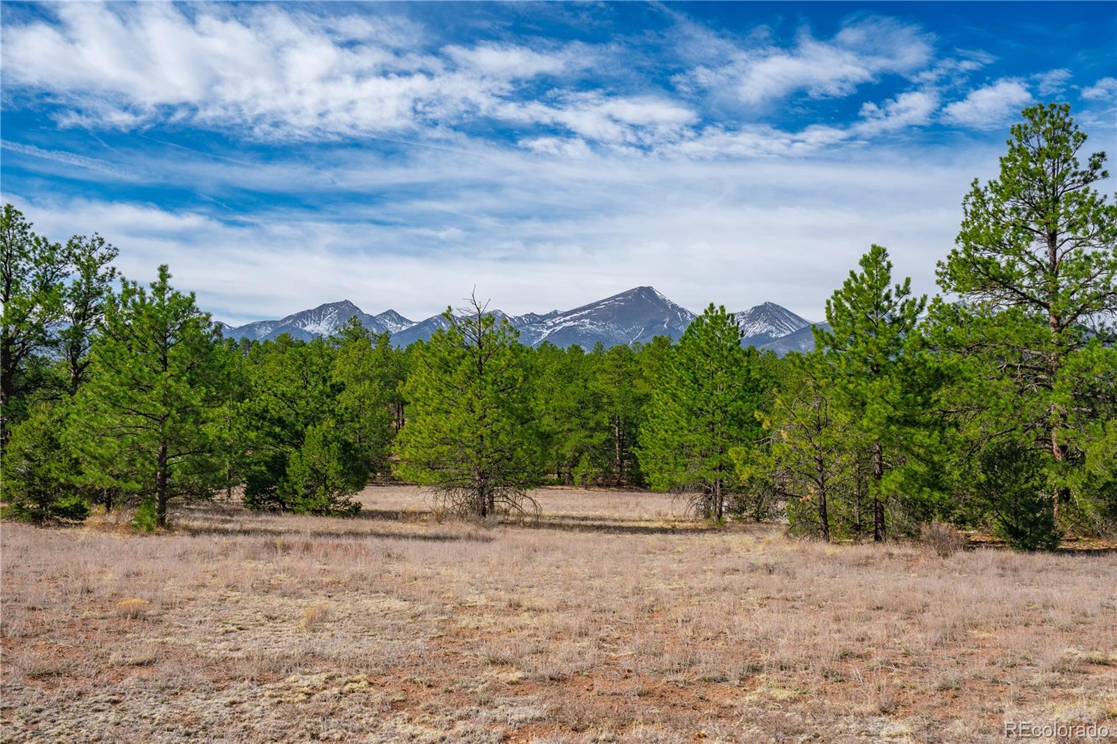 870 Oak Drive Westcliffe CO 81252