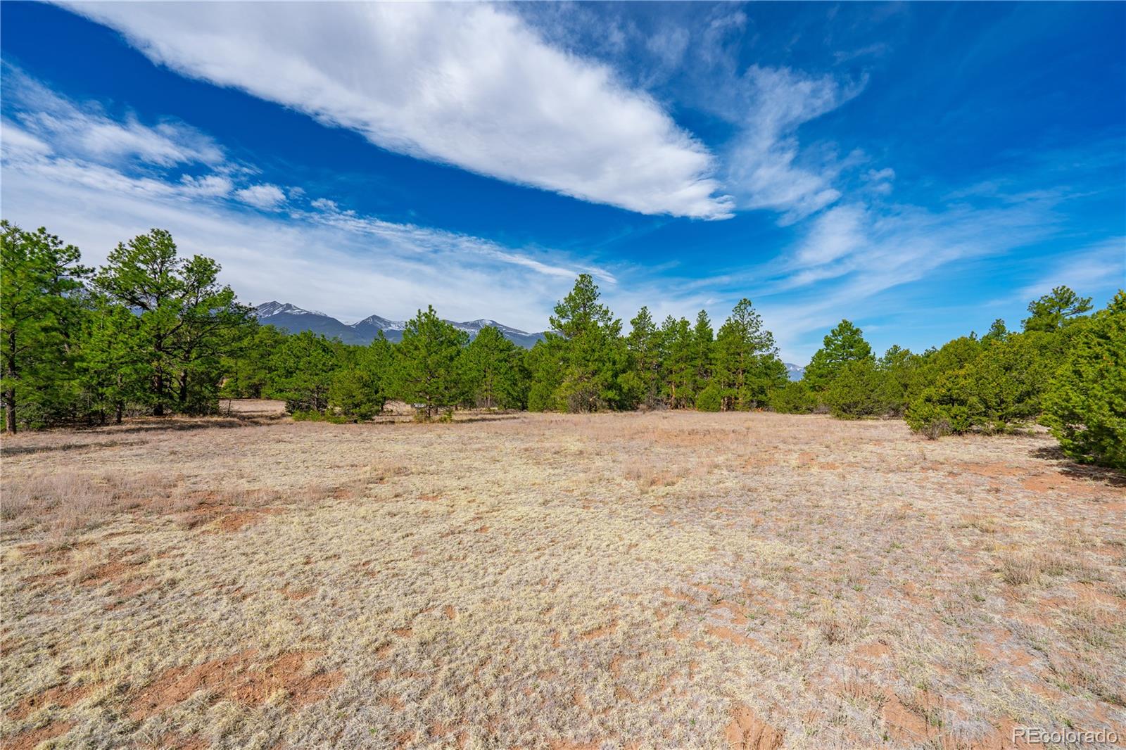 870 Oak Drive Westcliffe CO 81252