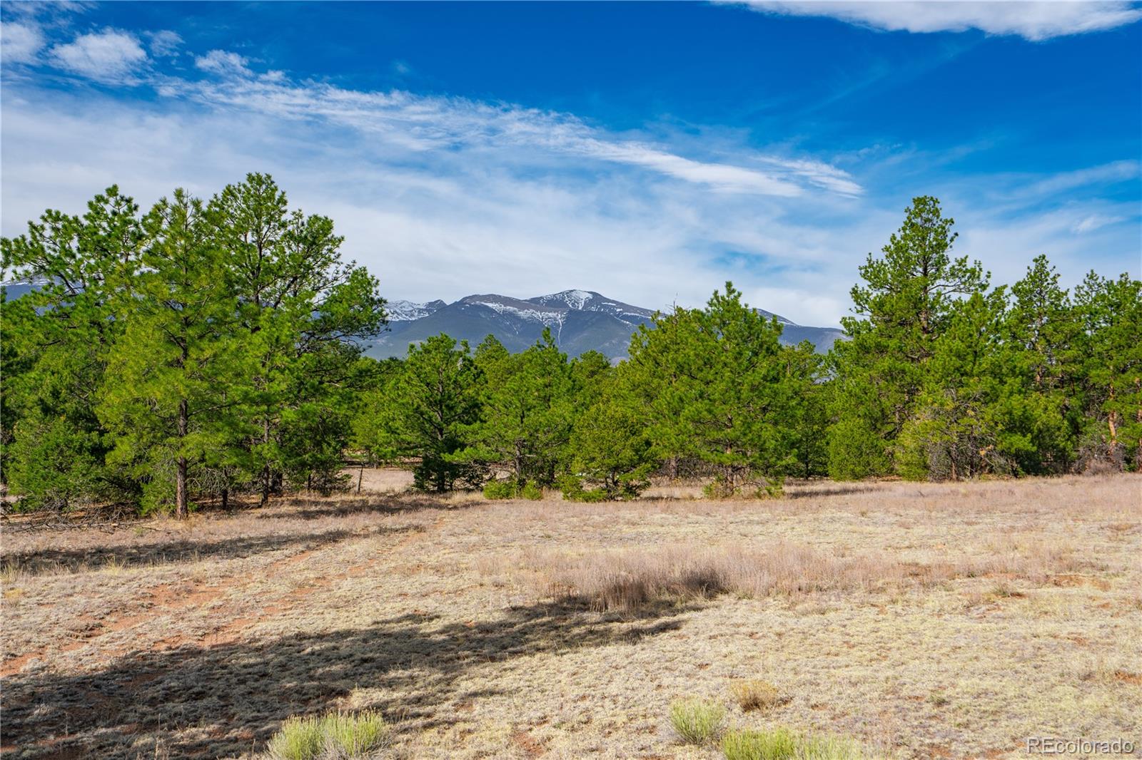 870 Oak Drive Westcliffe CO 81252