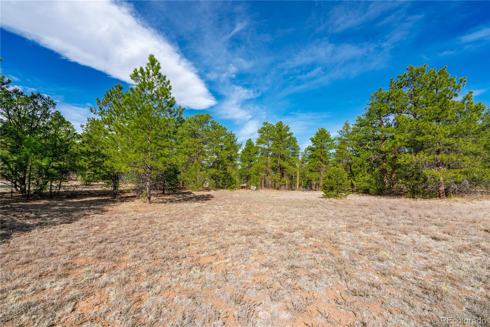 870 Oak Drive Westcliffe CO 81252