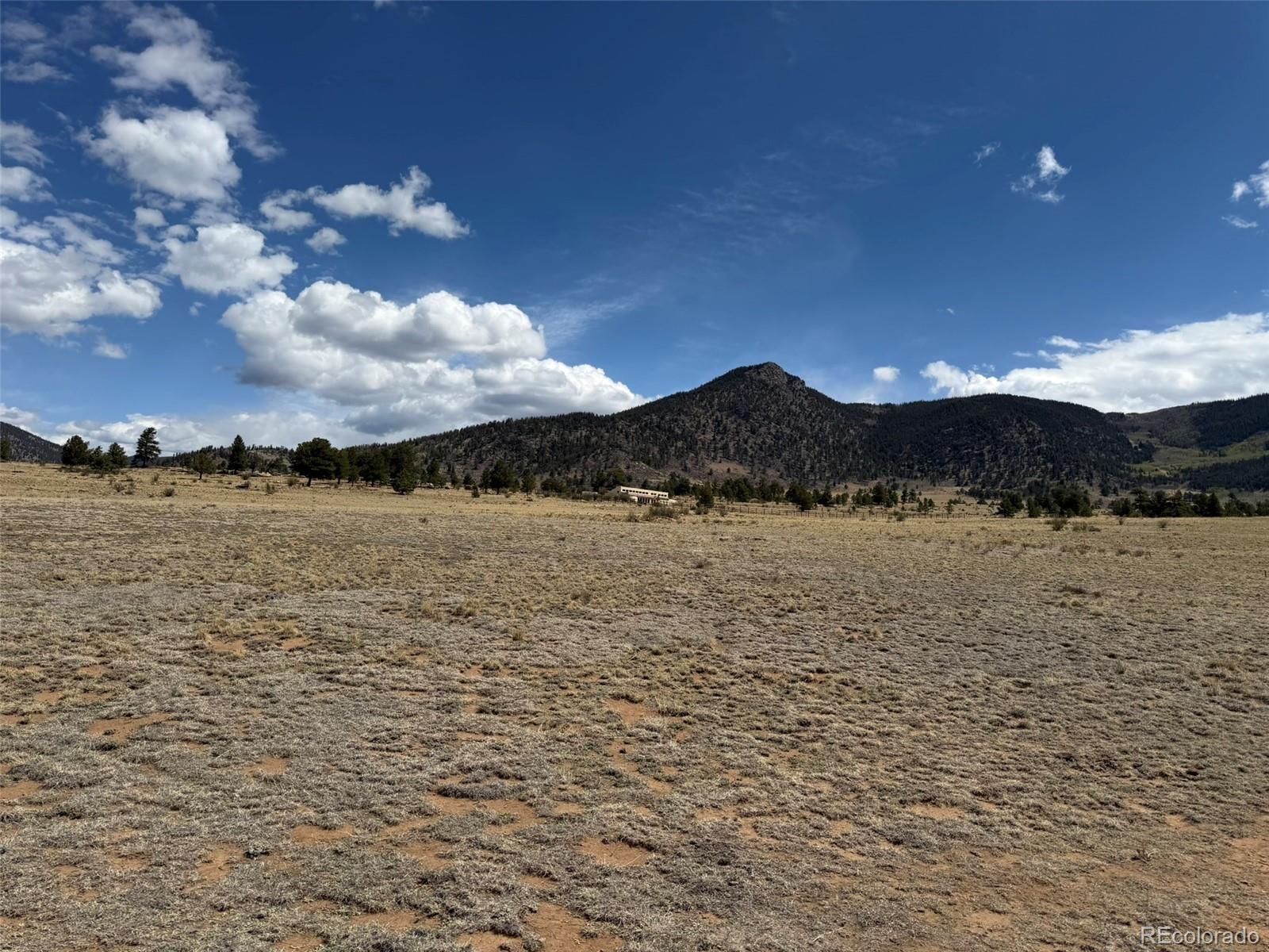 42 Turner Gulch Road Hartsel CO 80449