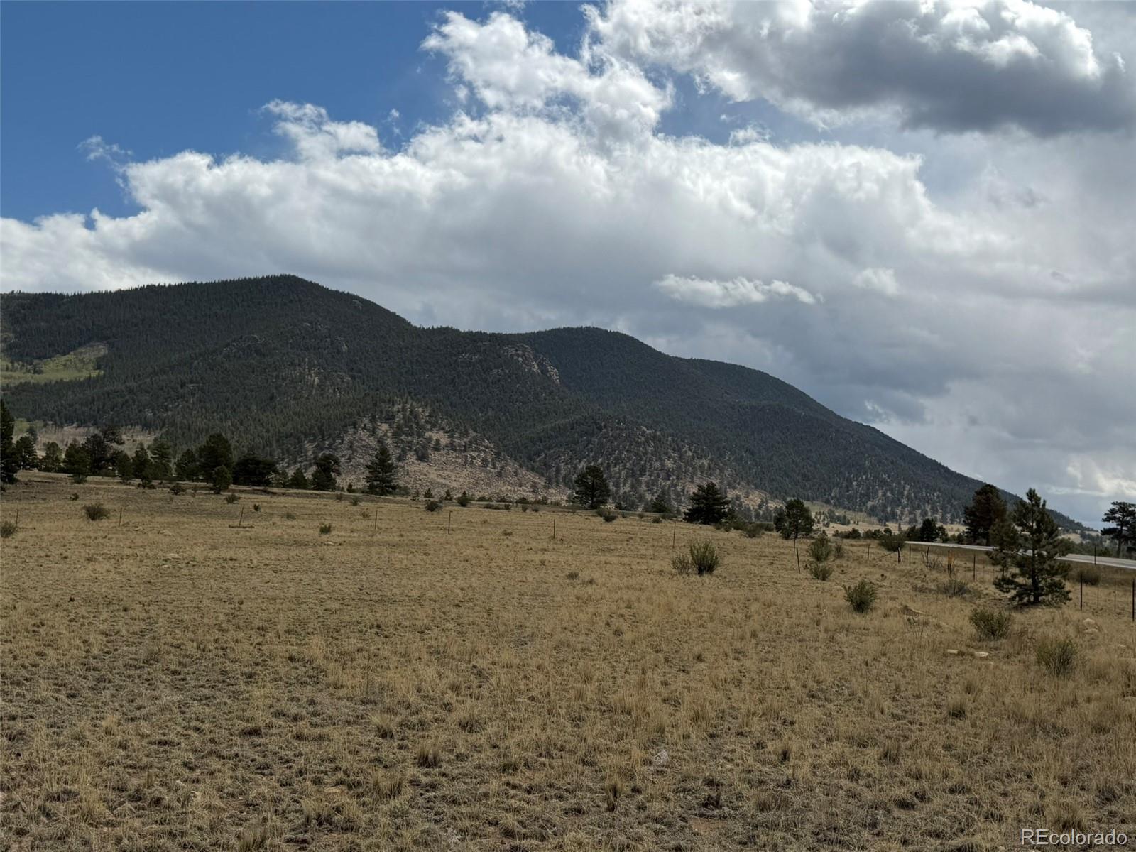 42 Turner Gulch Road Hartsel CO 80449