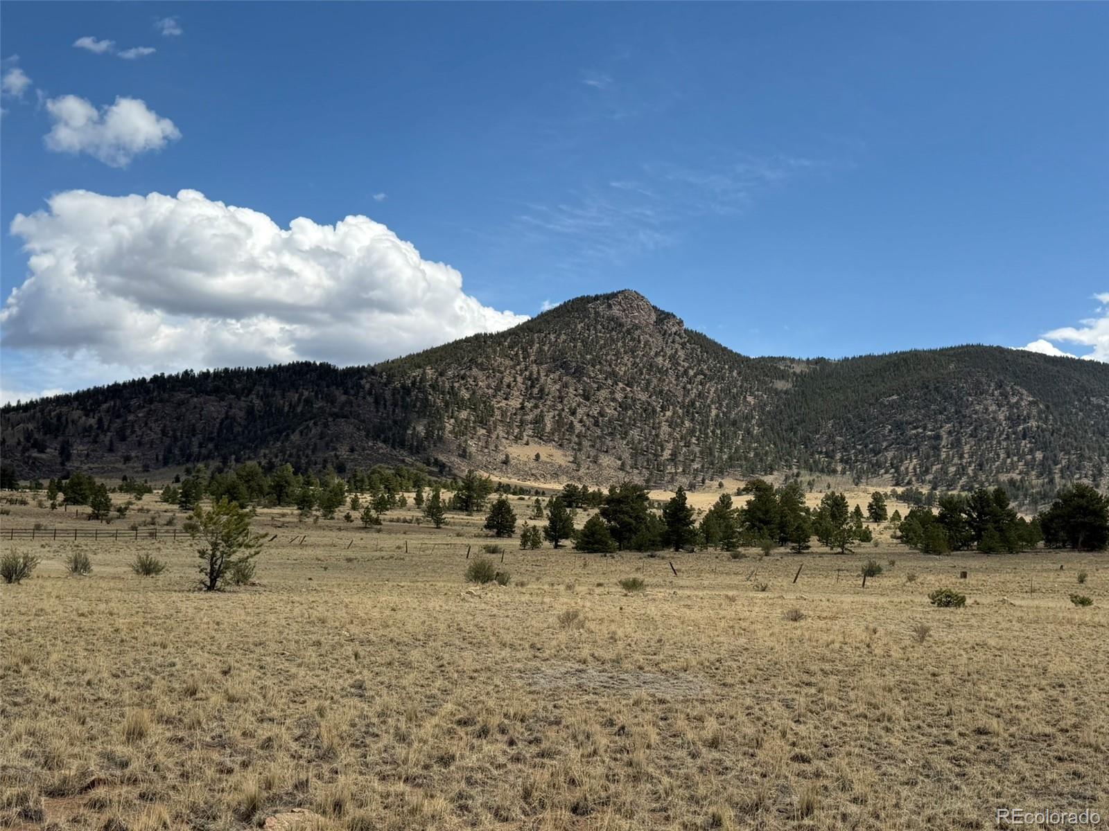 42 Turner Gulch Road Hartsel CO 80449