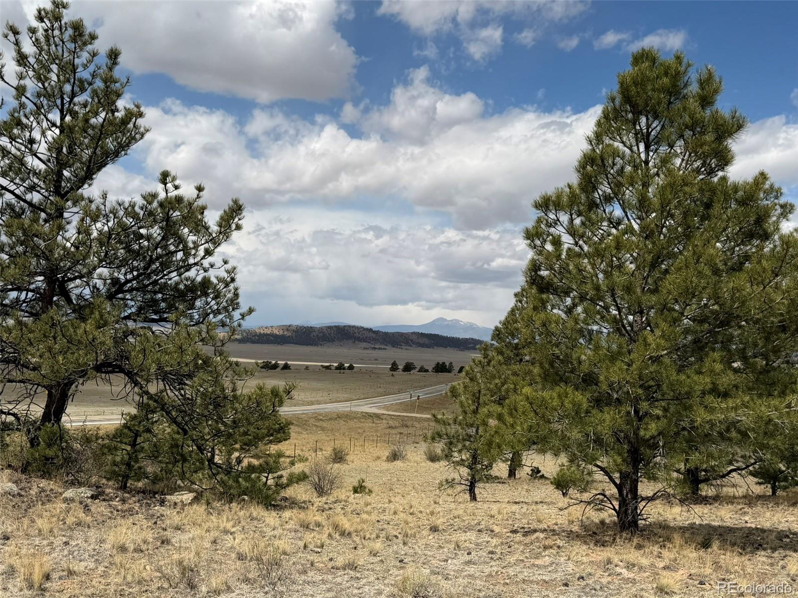 42 Turner Gulch Road Hartsel CO 80449