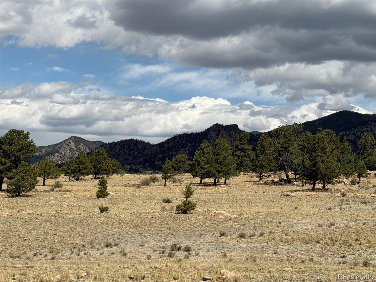 42 Turner Gulch Road Hartsel CO 80449