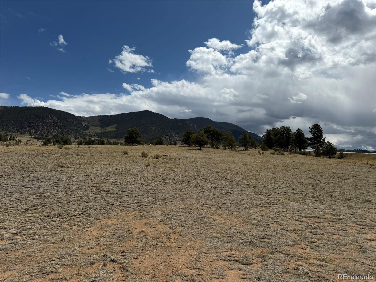 42 Turner Gulch Road Hartsel CO 80449