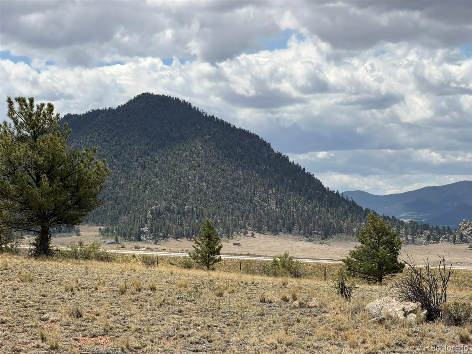 42 Turner Gulch Road Hartsel CO 80449
