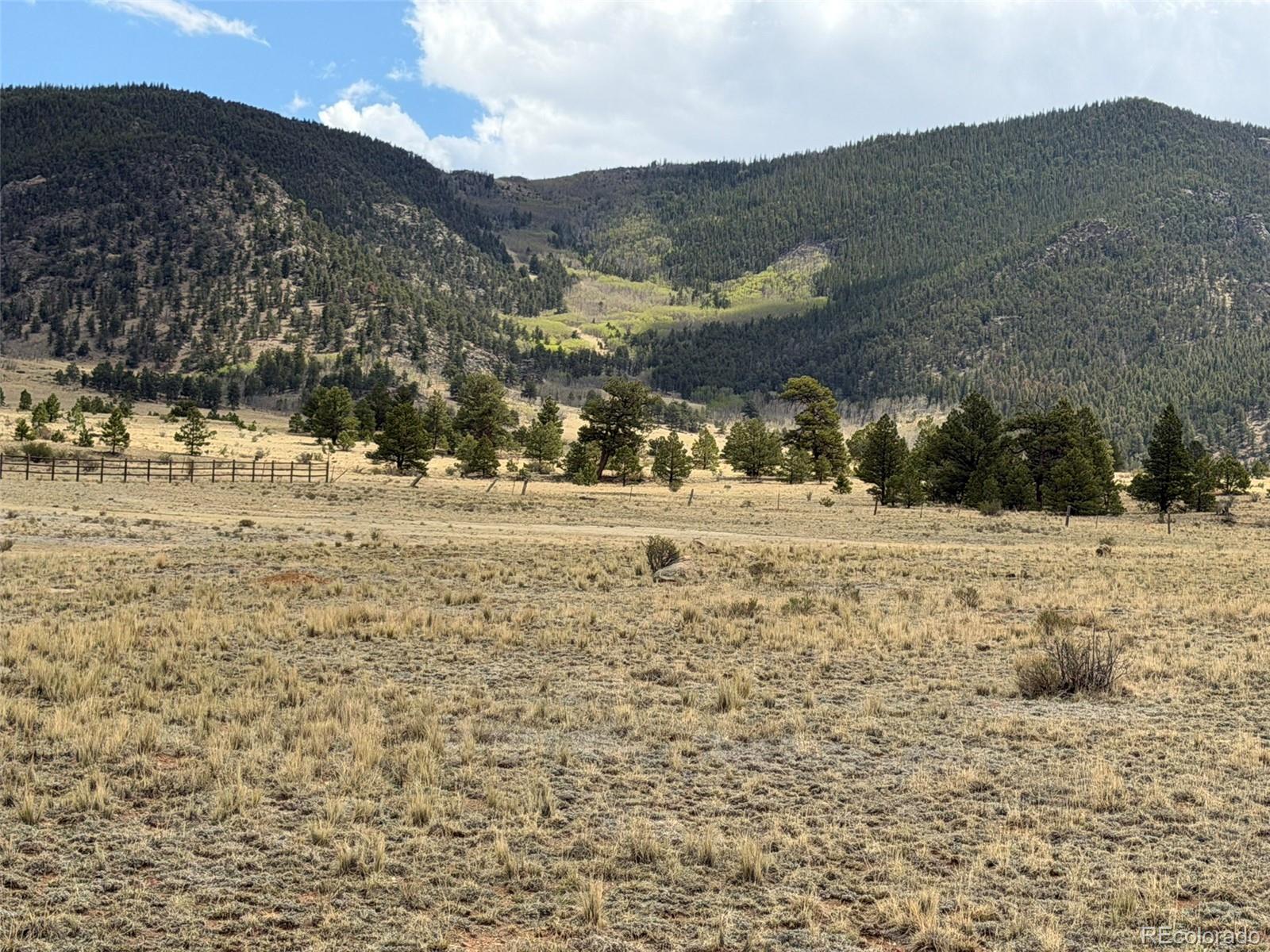 42 Turner Gulch Road Hartsel CO 80449