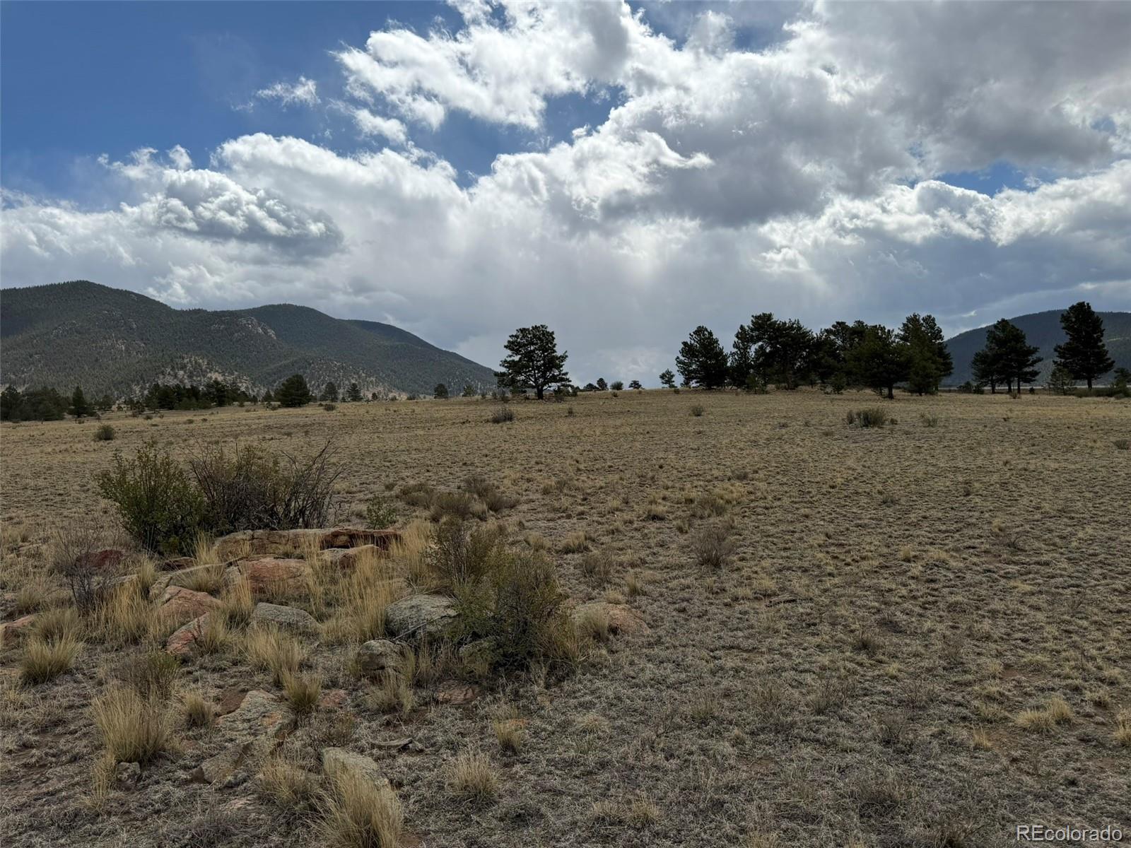 42 Turner Gulch Road Hartsel CO 80449