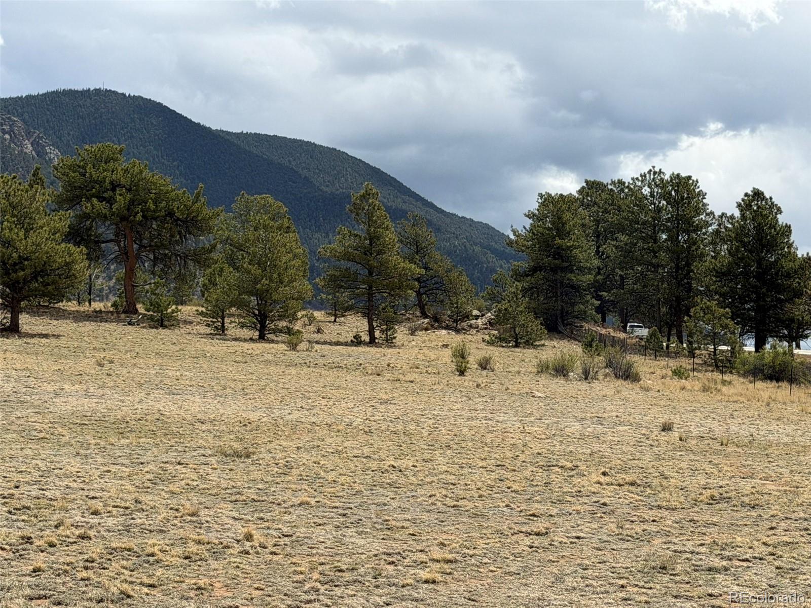 42 Turner Gulch Road Hartsel CO 80449