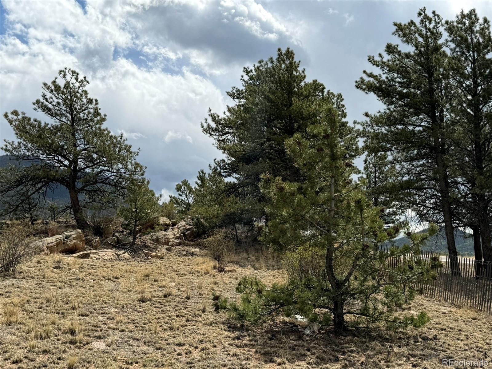 42 Turner Gulch Road Hartsel CO 80449