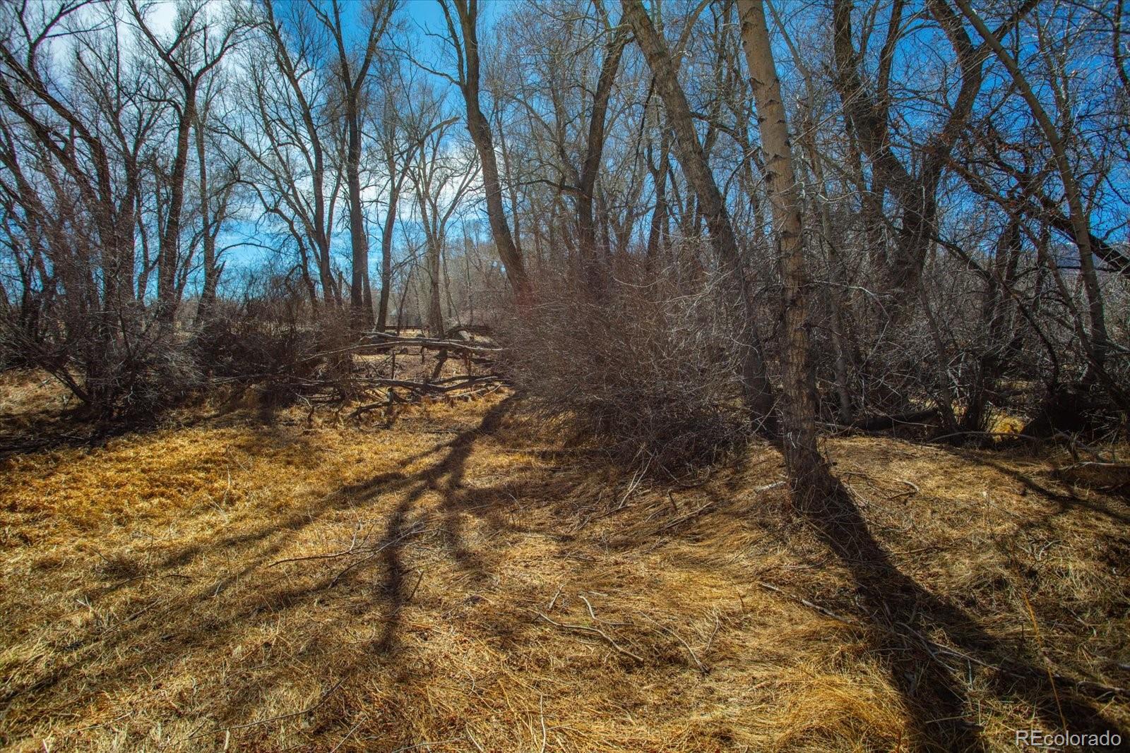 29571 County Road 350a Buena Vista CO 81211
