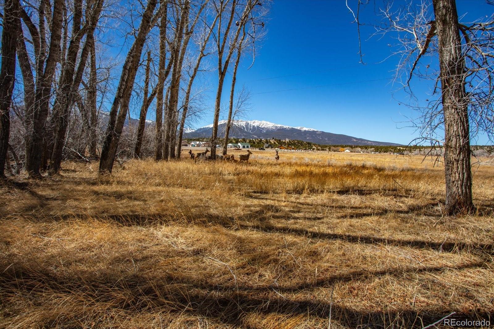 29571 County Road 350a Buena Vista CO 81211