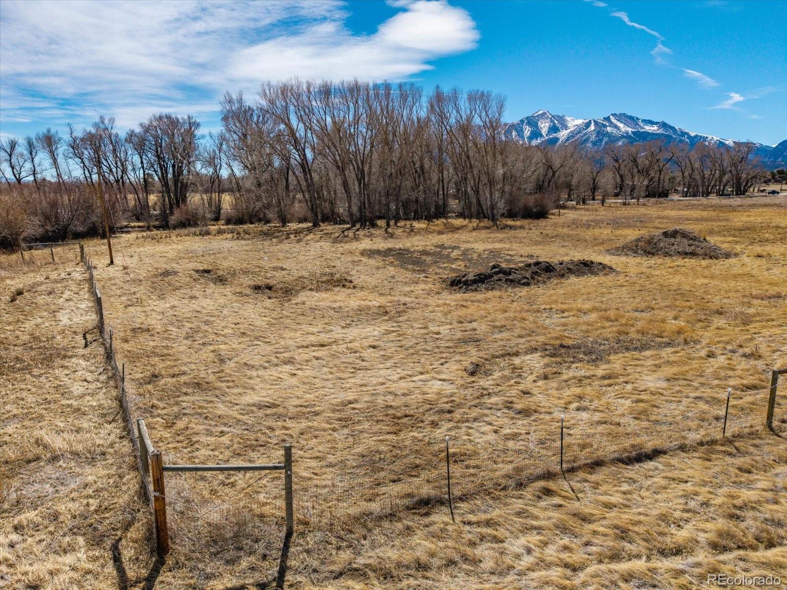 29571 County Road 350a Buena Vista CO 81211