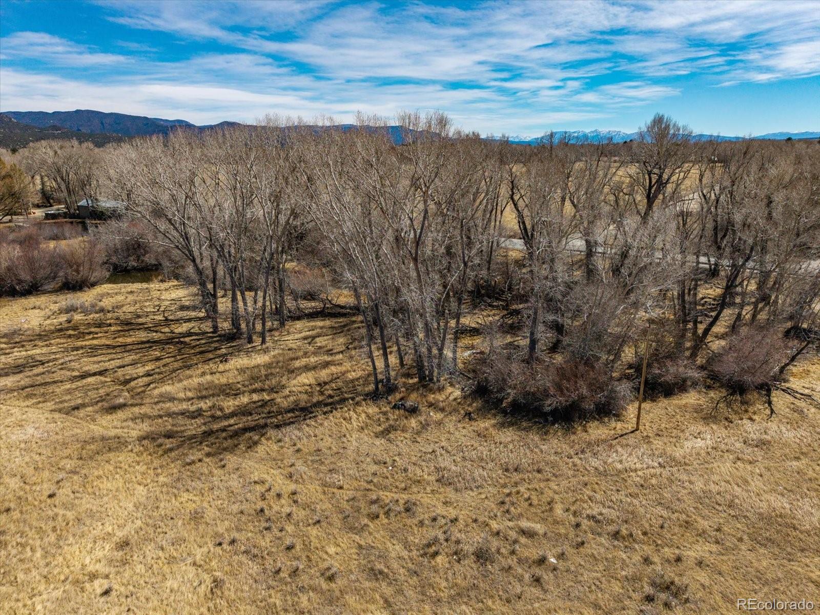 29571 County Road 350a Buena Vista CO 81211