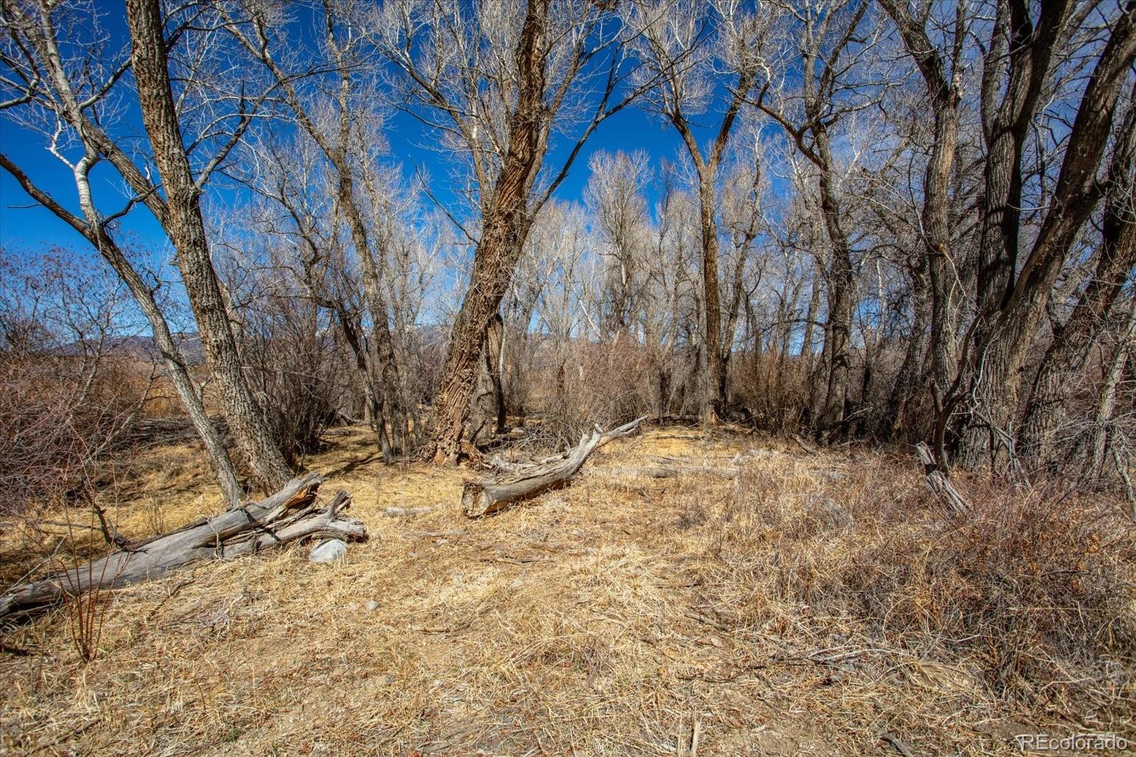 29571 County Road 350a Buena Vista CO 81211