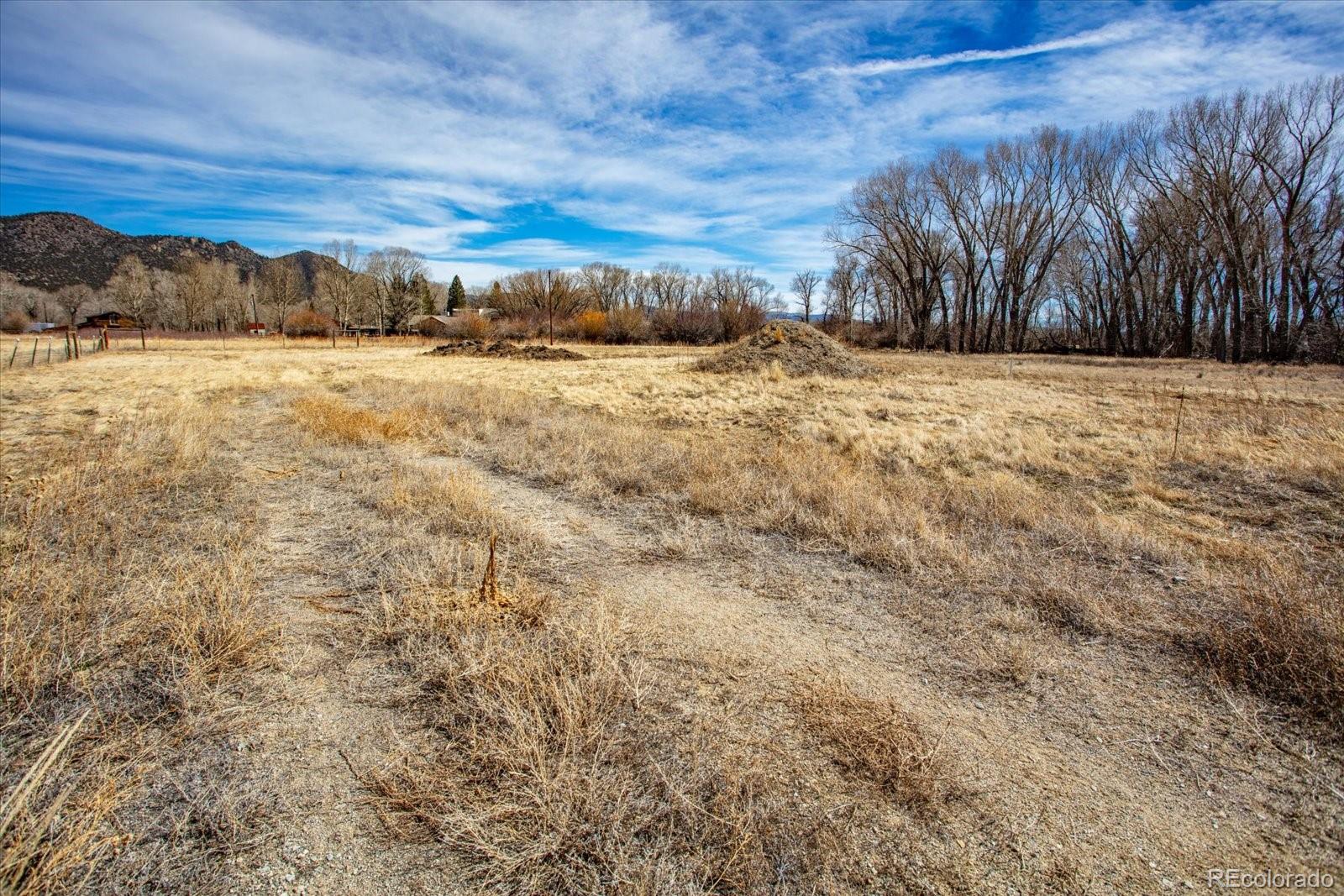 29571 County Road 350a Buena Vista CO 81211