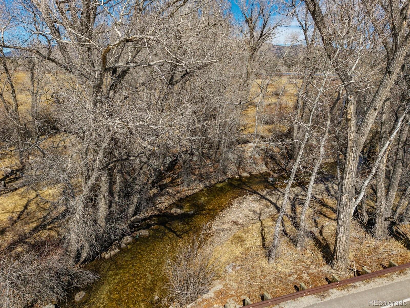 29571 County Road 350a Buena Vista CO 81211