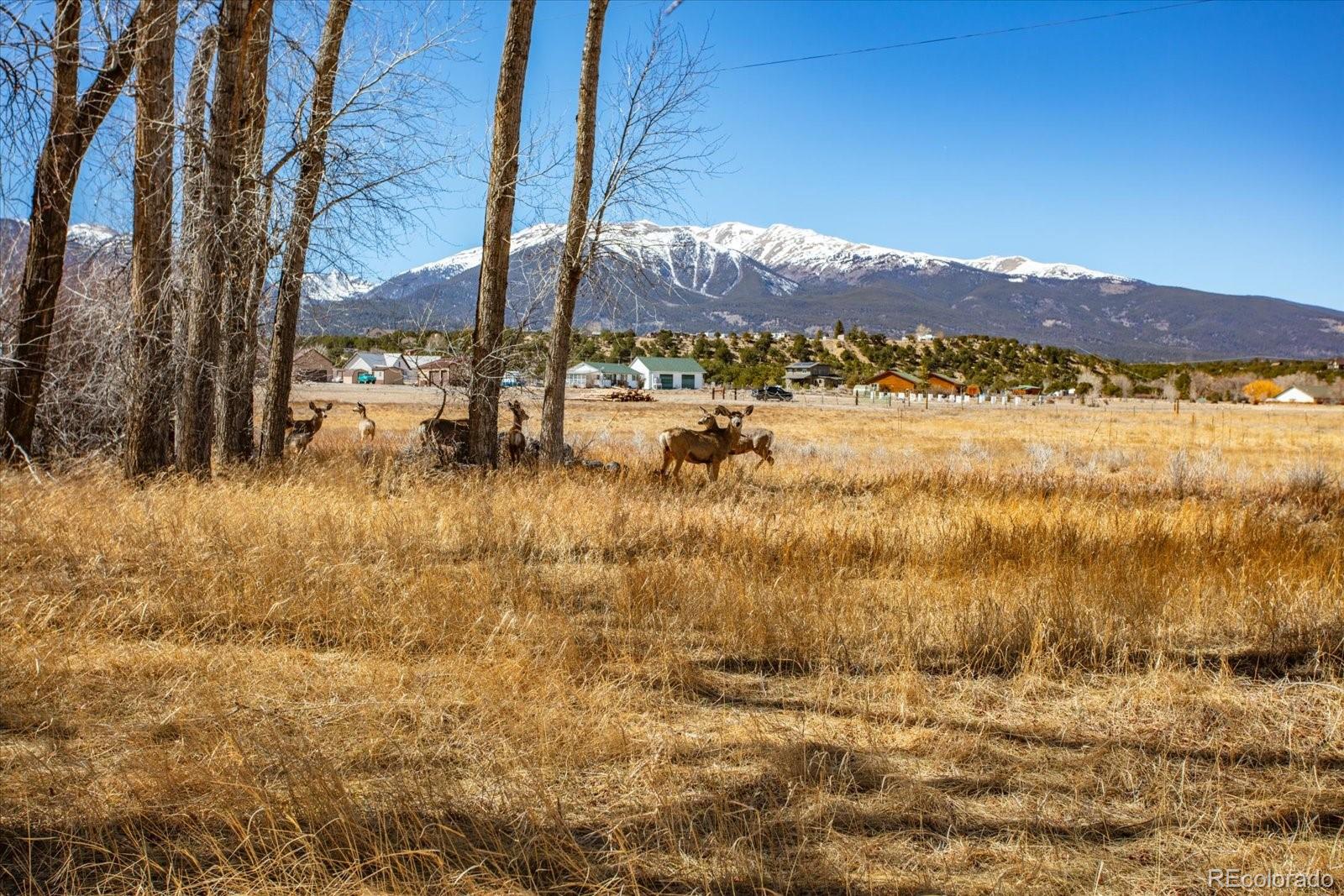 29571 County Road 350a Buena Vista CO 81211