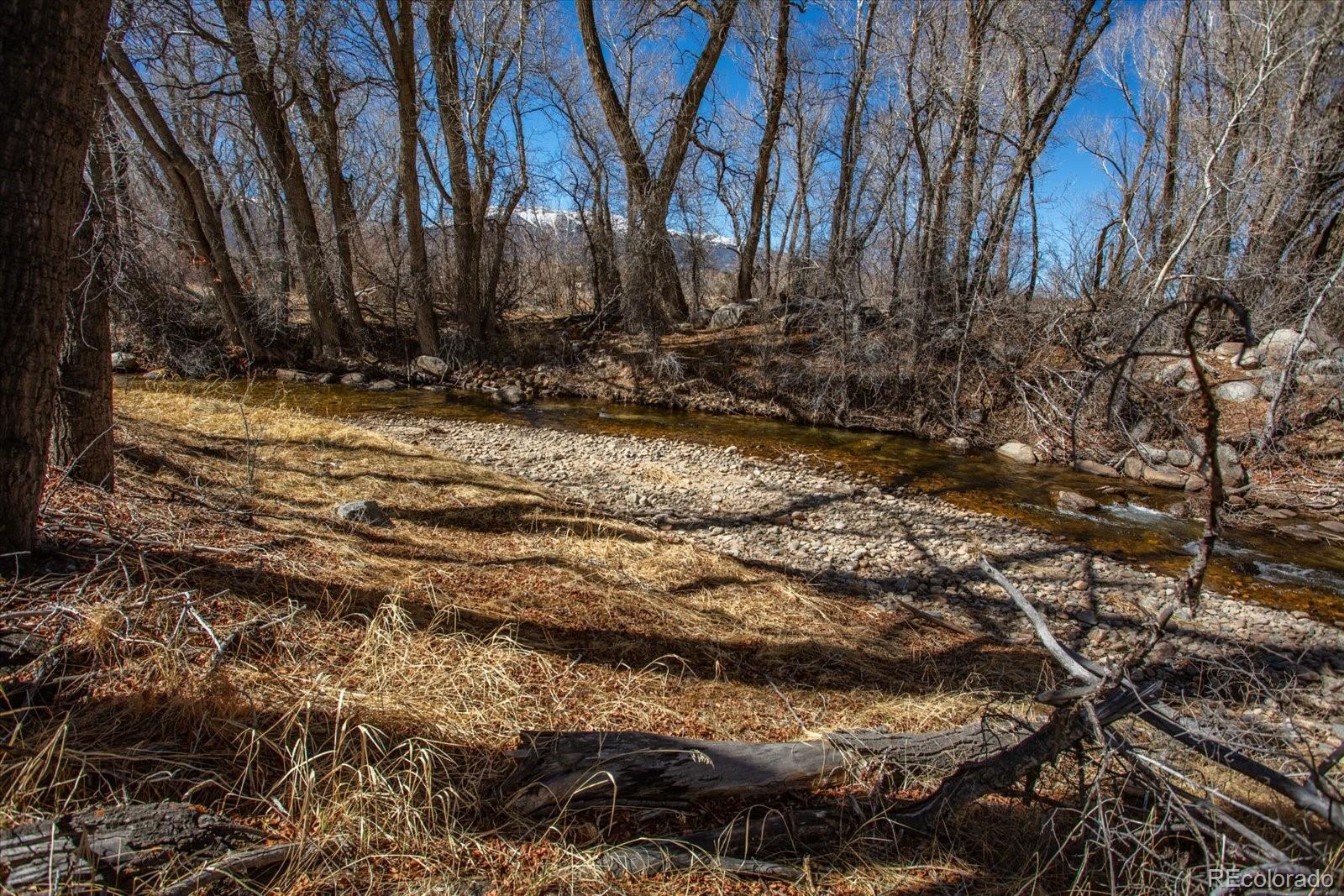 29571 County Road 350a Buena Vista CO 81211