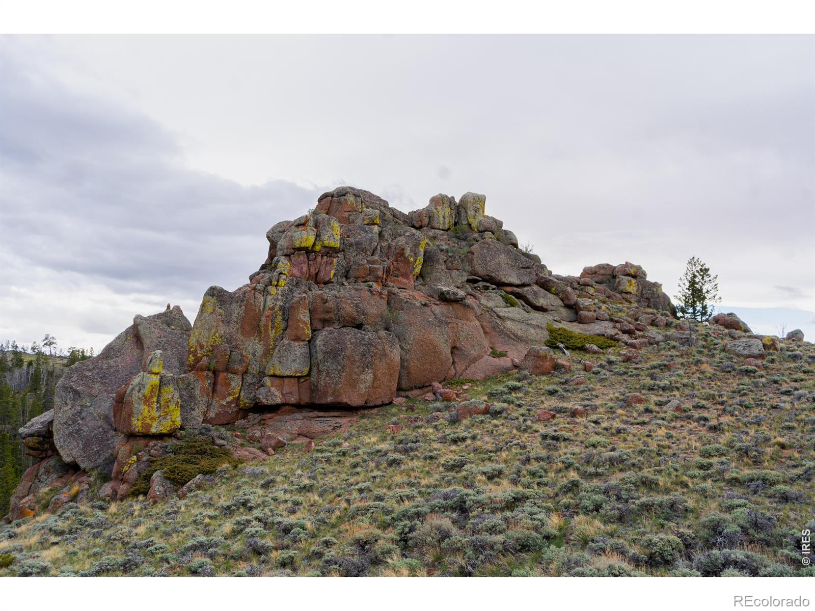 0 Laramie Overlook Roads Livermore CO 80536