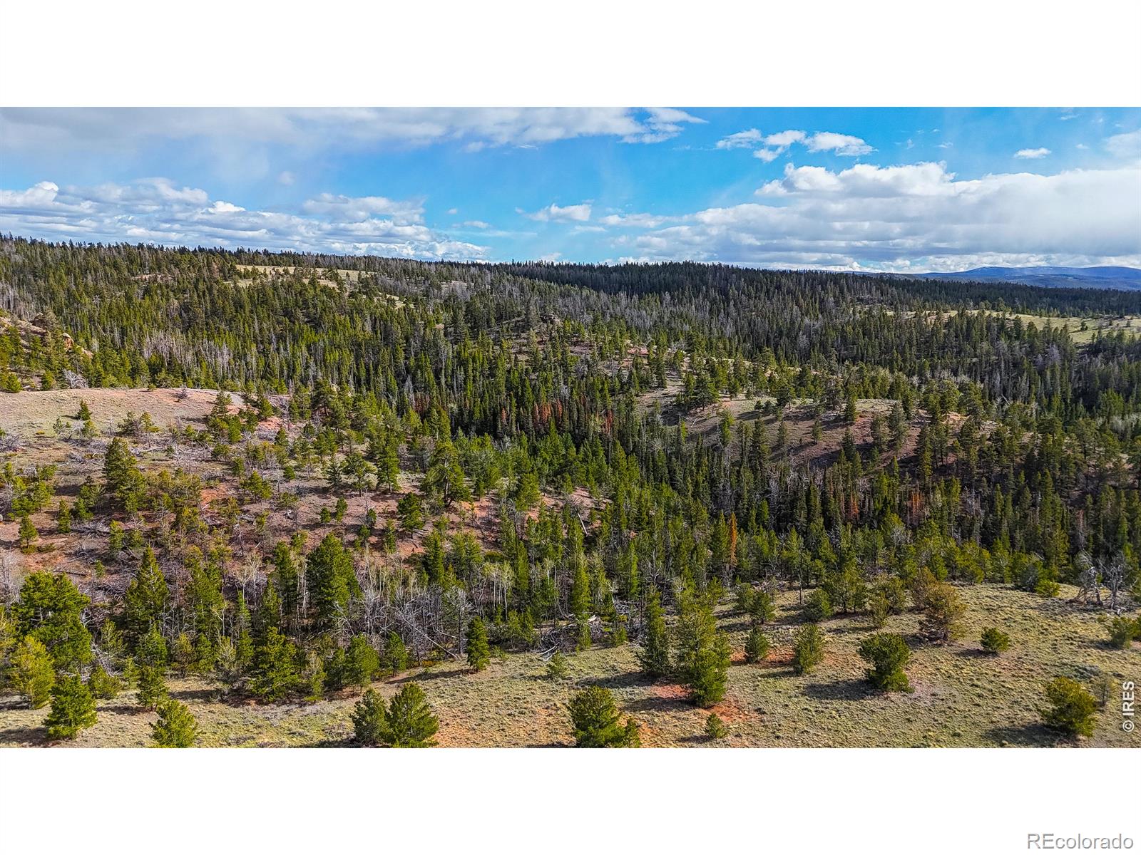0 Laramie Overlook Roads Livermore CO 80536